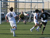 IMG_7859