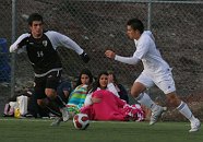 IMG_9404